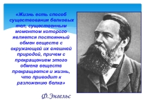Презентация по химии Белки