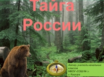 Презентация по окружающему миру для 4 класс: Зона лесов