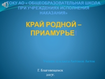 Презентация  Край родной- Приамурье