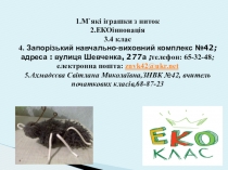 М`які іграшки з ниток !ЕКОінновація