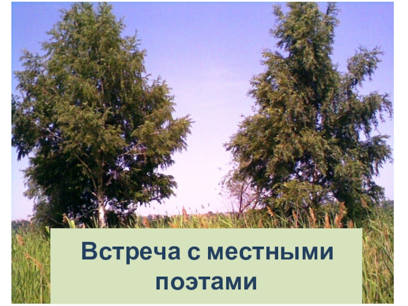 Встреча с местными поэтами Бутурлиновского края