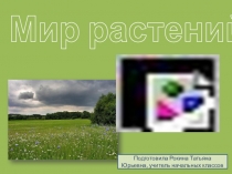 Презентация по краеведению на тему Растения Югры