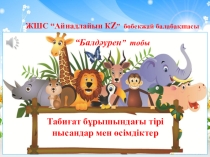 Презентация Табиғат бұрышы Мектепалды даярлық топ