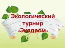 Презентация к экологическому турниру Экодром