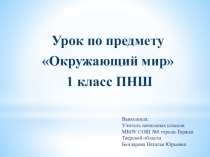 Презентация по окружающему миру на тему в лес по ягоды пойдём (1 класс ПНШ)