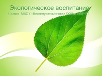 Презентация Экологическое воспитание в школе