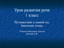 Презентация по развитию речи на тему Зимующие птицы