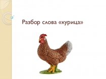 Разбор слова курица
