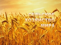 Презентация по географии Сельское хозяйство мира