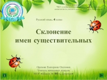Презентация по русскому языку на тему Склонение имен существительных