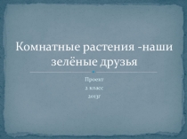 Презентация Проектная деятельность Комнатные растения