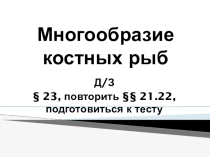 Презентация по биологии по теме Многообразие костных рыб (7 класс)