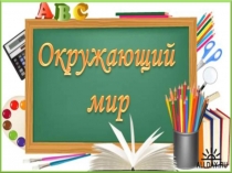 Презентация по окружающему миру на тему Путешествие в горы (4 класс)