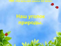 Презентация по окружающему миру на тему Уголок природы (1 класс)