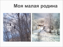 Презентация Лазовский заповедник имени Г.Капланова