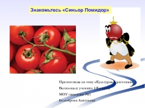 Презентация по окружающему миру: Культурные растения Знакомьтесь - синьор помидор (1 - 4), выполнила ученица 3 В класса Белозёрова Анастасия, руководитель: Коваленко Екатерина Викторовна
