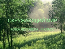 Презентация по окружающему миру Кожа человека