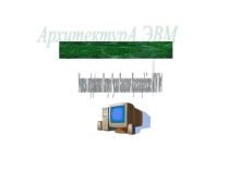 Презентация по информатике на тему Архитектура ЭВМ