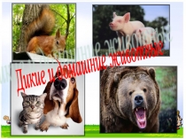 Презентация по окружающему миру Дикие и домашние животные(1 класс)