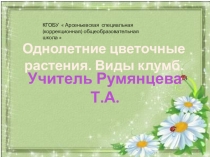 Презентация по технологии на тему Виды клумб. Однолетние растения (8 класс)