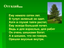 ПрезентацияСовременные технологии переработки кедрового ореха.