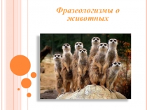 Презетация учащегося 6 класса по русскому языку Фразеологизмы...