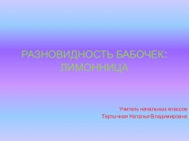 Презентация по окружающему миру на тему: Разновидность бабочек: лимонница.