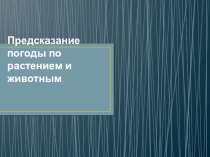 Предсказание погоды по растением и животным