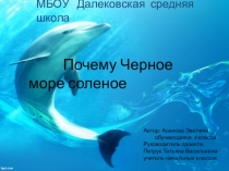 Презентация Почему вода в море соленая? Проектная работа (4 класс) внеурочная деятельность