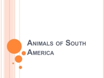 Презентация по английскому языку на тему Animals of South America (5 класс)