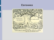 ПРЕЗЕНТАЦИЯ НА ТЕМУ ЕВГЕНИКА