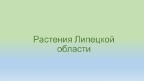 Презентация по географии 8 класс Растения Липецкой области