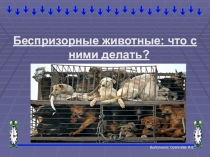 Презентация по биологии Бездомные животные (7 класс)