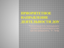 Презентация Приоритетное направление в ДОУ