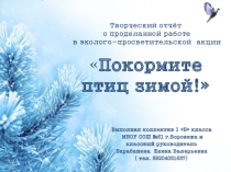 Презентация к проекту Покормите птиц зимой