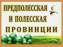Презентация по географии Предполесская и Полесская провинции