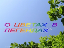 Презентация :  Легенды о цветах