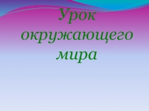 ПРЕЗЕНТАЦИЯ Дикие и домашние животные