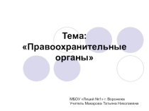 Презентация по праву на тему Правоохранительные органы (8-9 класс)