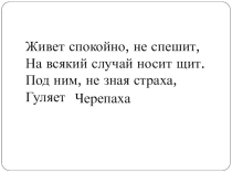 Презентация к конспекту урока по информатике Думаем и исследуем на ЛОГО