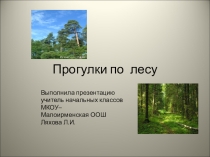 Презентация по окружающему миру (1-4 кл.)