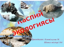 Презентация по биологии на тему Каспий экологиясы (9 сынып)