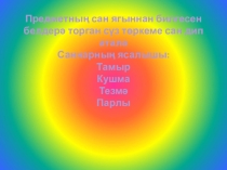 Презентация Сан
