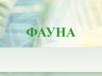 Презентация по окружающему миру Фауна