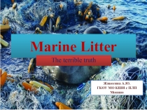Презентация к уроку английского языка на тему Marine Litter (10 класс)