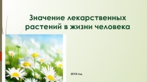 Значение лекарственных растений
