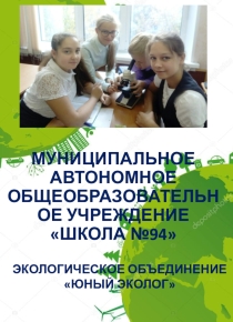 Деятельность детского объединения по направлению Экология