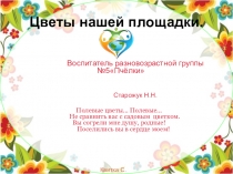 Презентация Цветы нашей площадки.