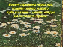 Цветы луговые для 4-5 лет