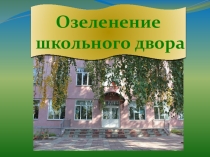 Презентация по географии на тему Озеленение школьного двора(9 класс)